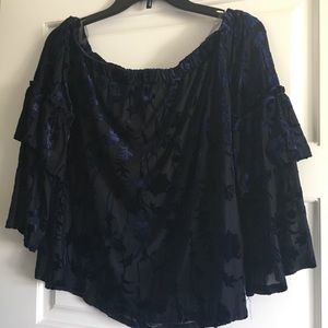 Blue Velvet Floral Off the Shoulder Top